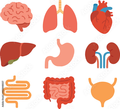 Create a Human Internal Organs Flat Icons Set vector art with white background.