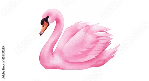 Fototapeta Naklejka Na Ścianę i Meble -  Pink swan illustration watercolor style