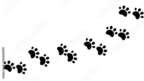 path of paw print trails