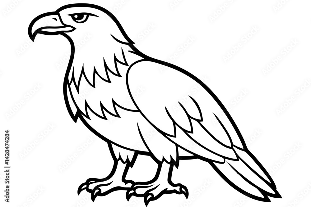 Fototapeta premium Majestic Eagle Outline