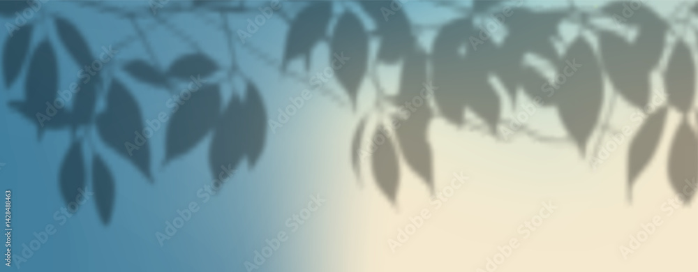 Glare from the sun's rays on the wall. Blurred shadows from leaves and plants in the room. Glare from the sun's rays on the wall. Blurred shadows from leaves and plants in the room.