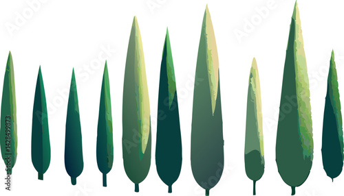 watercolor green tall cypress trees isolated on white background.