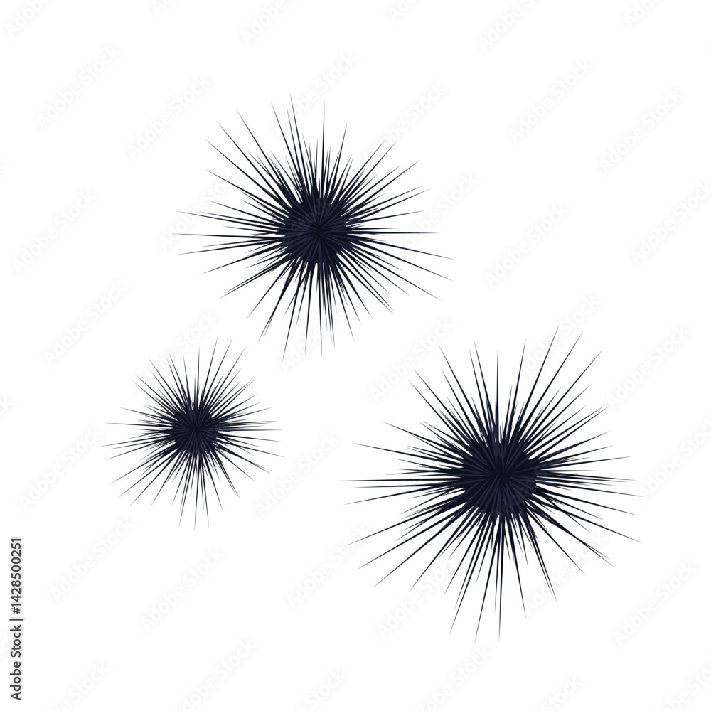 Obraz premium Sea ​​urchin. Tropical underwater flora. Diving. Reef, aquarium. Underwater marine life. 