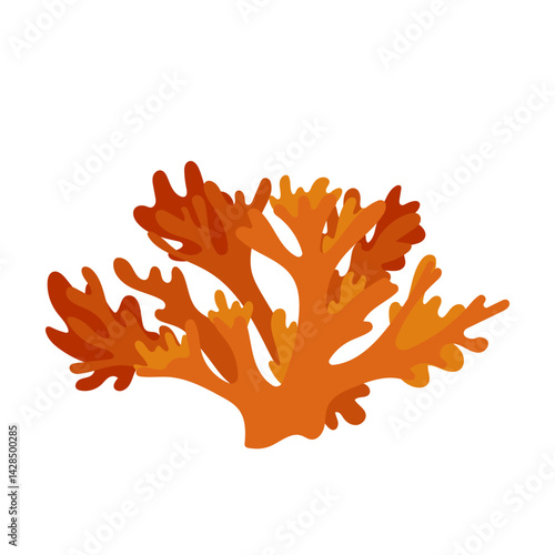 Coral reef, aquarium. Underwater ocean plant. Orange coral. Underwater world. Sea plant. Underwater seaweed on white background. Marine collection. 