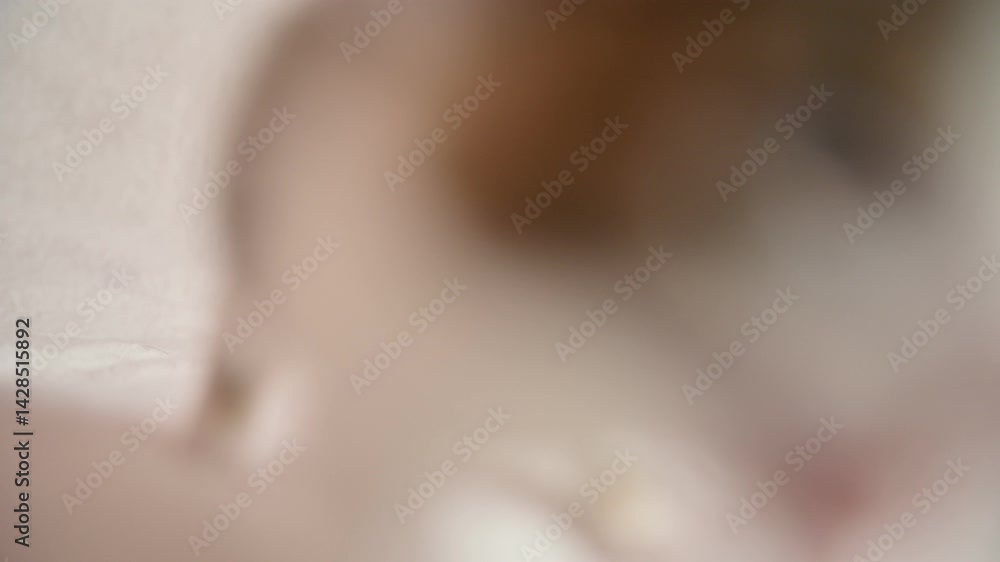 little fluffy cats on a white background meow and walk towards the camera little fluffy cats on a white background meow and walk towards the camera