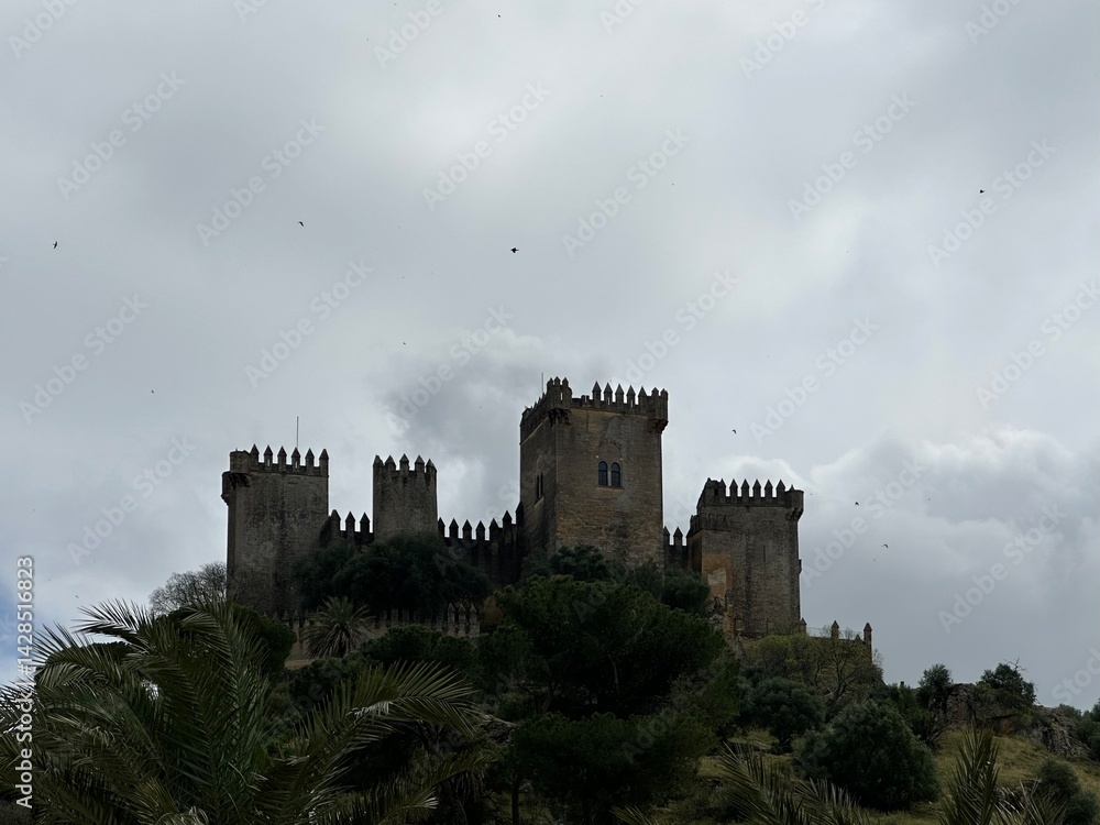 Medieval Castle of Almodóvar del Río oerched atop a hill under a cloudy sky, Andalusia, Spain, April 2024