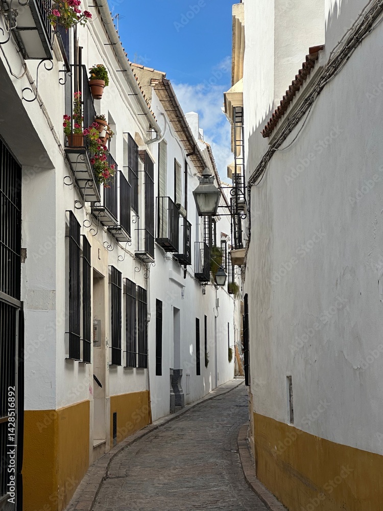 View of a narrow street with white walls and flower boxes in the old town Córdoba, Andalusia, Spain, April 2024