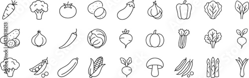 Vegetables line icon set. Vector pictograms of broccoli, potato, onion, garlic, lettuce, spinach, pepper, cucumber, pumpkin, turnip, celery, cabbage, mushroom, thin linear illustration.
