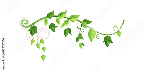 Elegant curved vine branch with green leaves and spiral tendrils