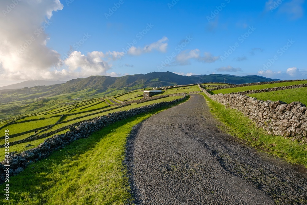 Scenic Country Road Winding Through Ancient Stone Walls Toward Volcanic Mountains in Morning Light. Rural Agricultural Path Bordered by Traditional Basalt Rock Fences in Terceira Island, Azores