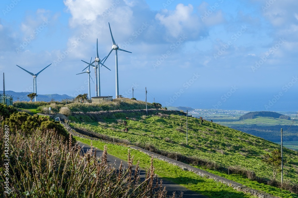 Sustainable Energy Windmills on Picturesque Hilltop Overlooking Coastal Landscape. Serra do Cume Wind Farm with Panoramic View of Praia da Vitoria, Terceira Island, Azores Archipelago