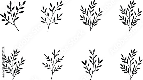 Hand-drawn leaves botanical floral vector element set part 6 illustrations on transparent background	