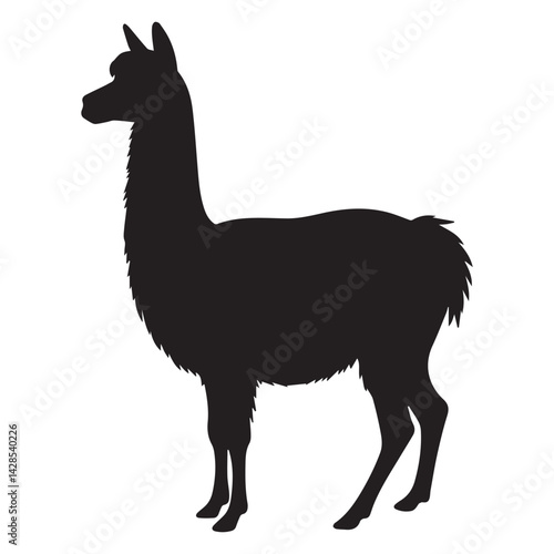 alpaca hand drawing illustration silhouette