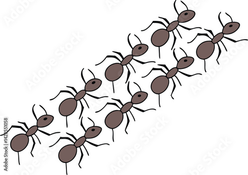 Army of Ants Vector Dynamic Swarm Formation Design