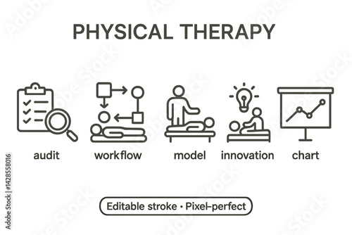 Icons representing physical therapy activities including audit, workflow, model, innovation, and chart for healthcare contexts