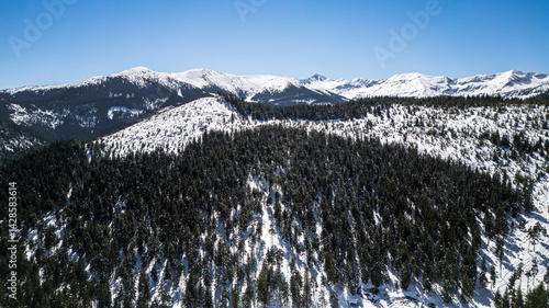 Obraz na płótnie Prislop Pass in winter, Maramures, Romania w salonie