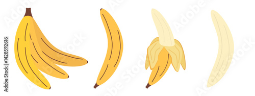 Vector banana set. Simple drawing of bunch of bananas, whole banana, peeled banana