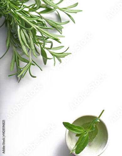 Fresh rosemary sprigs photographed in high detail on a white backdrop, providing ample copy space