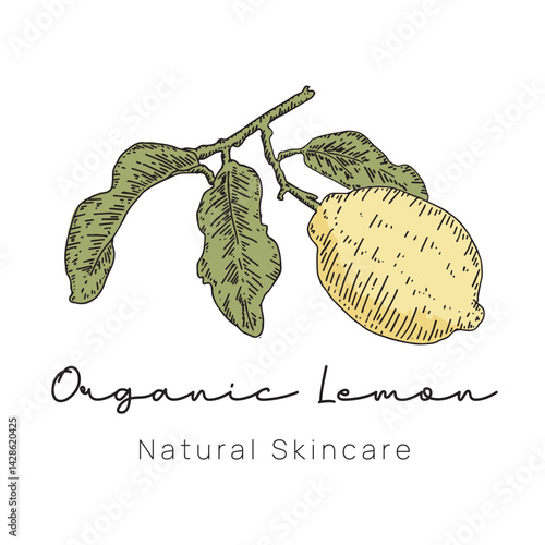 Organic Lemon Logo Hand Drawn Style for Fresh Food Branding