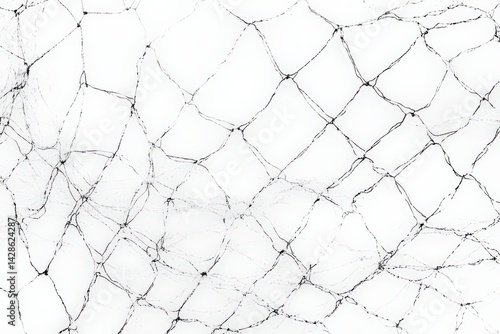 Obraz na płótnie Abstract Pattern of Black Lines on White Background Net Texture w salonie