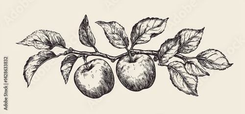 Hand-drawn apple branch illustration on a white background 