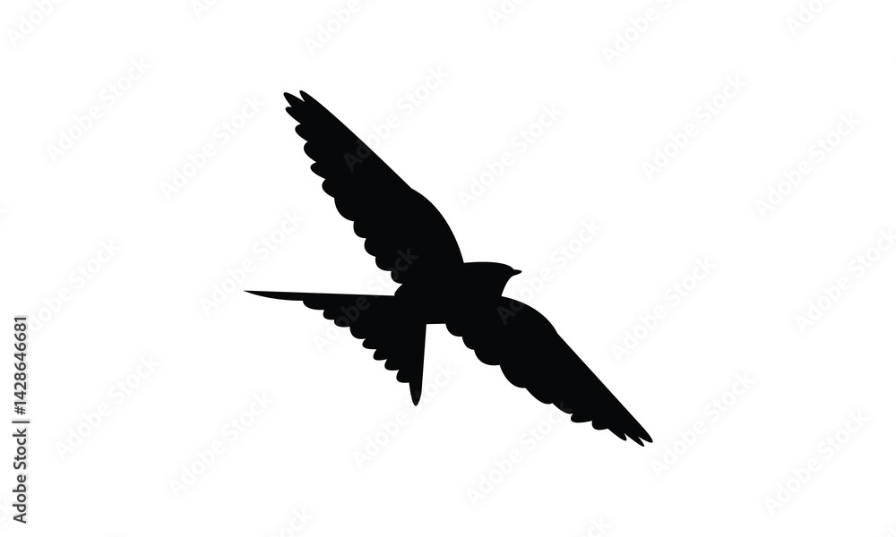 Obraz premium Flying African red rumped swallow bird Silhouette Design And Vector Illustration. 