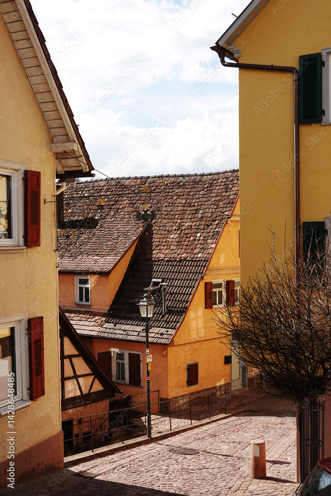 An old street in Altensteig, Black forest region, Germany