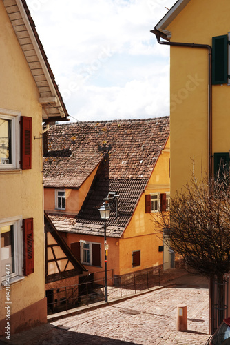 Obraz na płótnie An old street in Altensteig, Black forest region, Germany w salonie