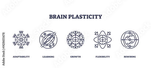 Brain plasticity shows adaptability, learning, and neural growth with outlined icons of brain, arrows, and neural connections. Outline icons set