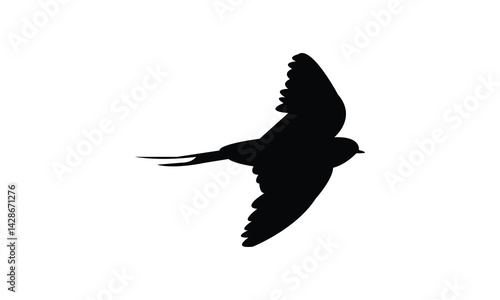 Flying African red rumped swallow bird Silhouette Design  And Vector Illustration. 