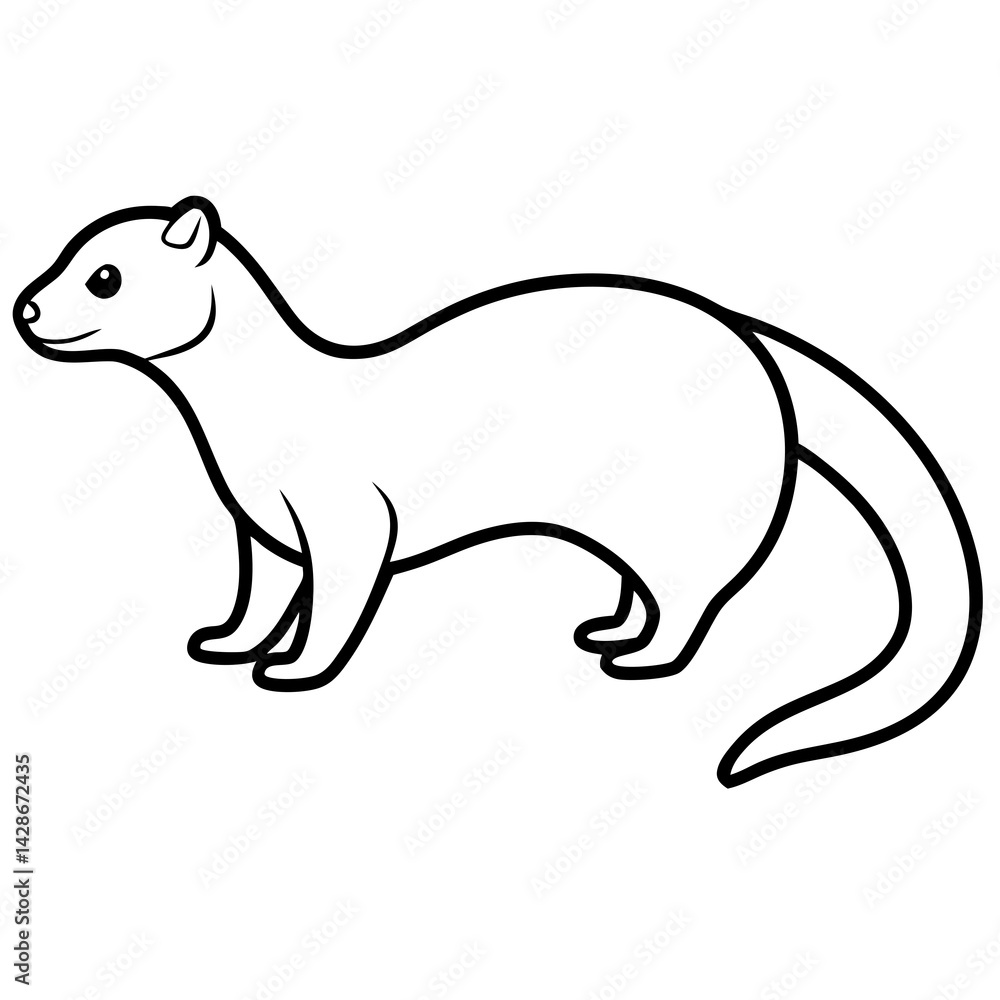 Obraz premium Elegant Ferret Line Drawing Vector