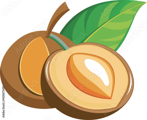 A vibrant vector art illustration of a delicious sapodilla fruit, showcasing rich colors, juicy texture, and tropical appeal in detail