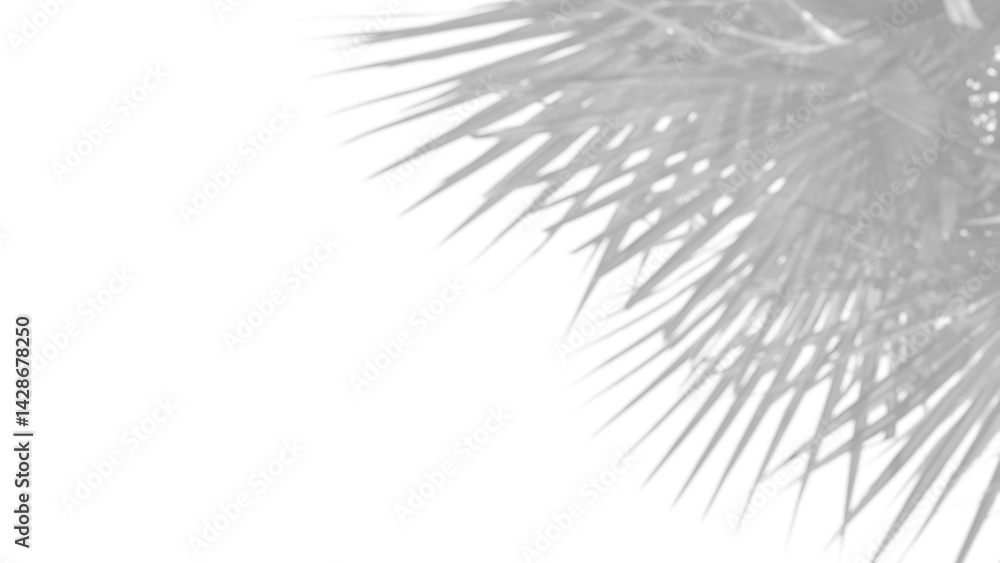 Obraz premium Realistic shadow overlay of palm branch with blurred foliage and leaf details creates natural and elegant design element, perfect for spring or summer product mockups and displays