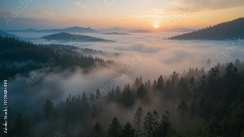 Mystical dawn over mountainous landscape with forest shrouded in fog