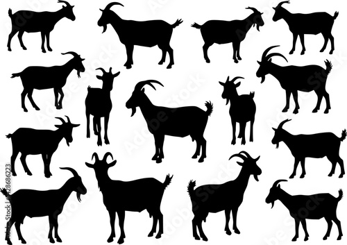 vector set of goat silhouettes, collection for designers
