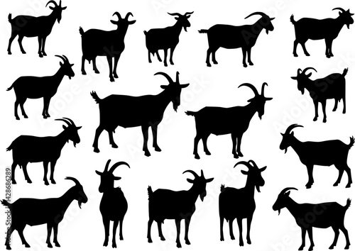 vector set of goat silhouettes, collection for designers
