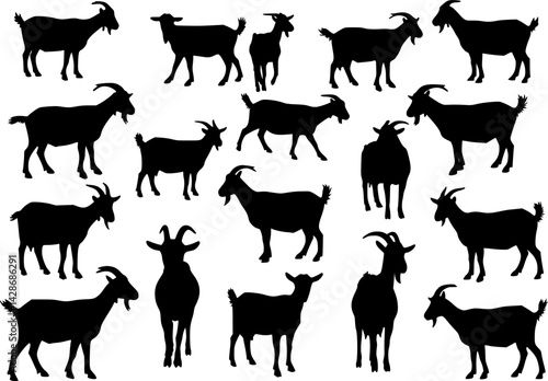 vector set of goat silhouettes, collection for designers
