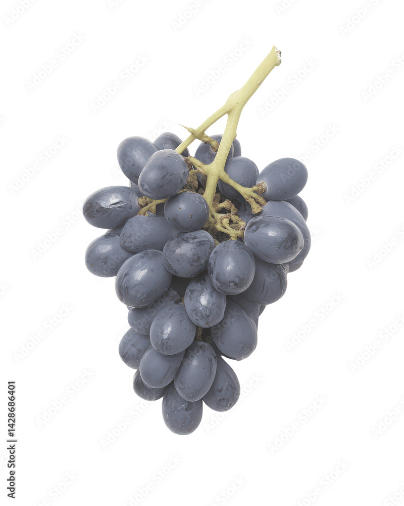 Fresh Purple Grapes Cluster on White Background with Natural Details Fresh Purple Grapes Cluster on White Background with Natural Details