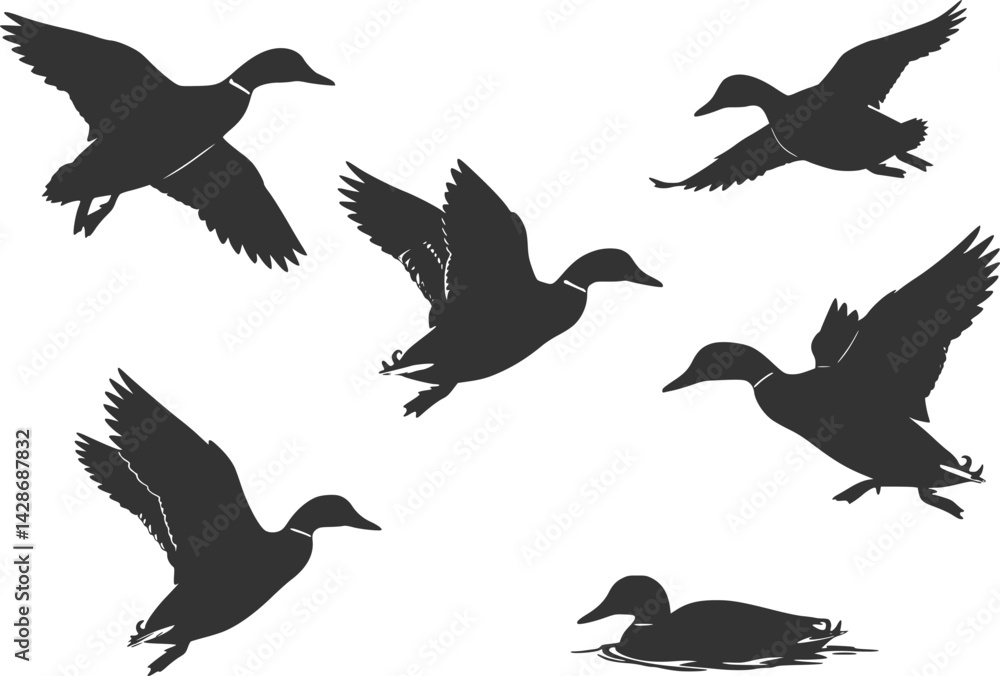 Fototapeta premium collection of mallard duck silhouettes for designers 