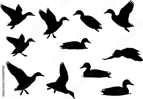 collection of mallard duck silhouettes for designers
