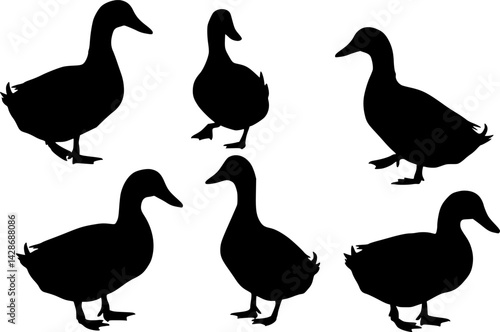collection of mallard duck silhouettes for designers
