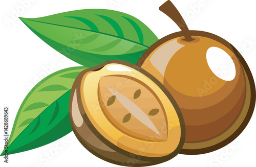 A vibrant vector art illustration showcasing a delicious sapodilla fruit, sliced and whole, with rich colors and realistic juicy textures