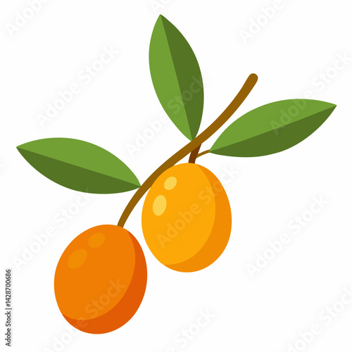 ripe apricots with leaves