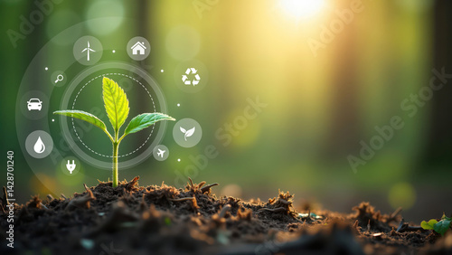 Sustainable energy sources with growing plant
