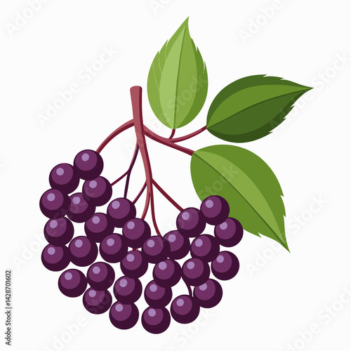 bunch of grapes
