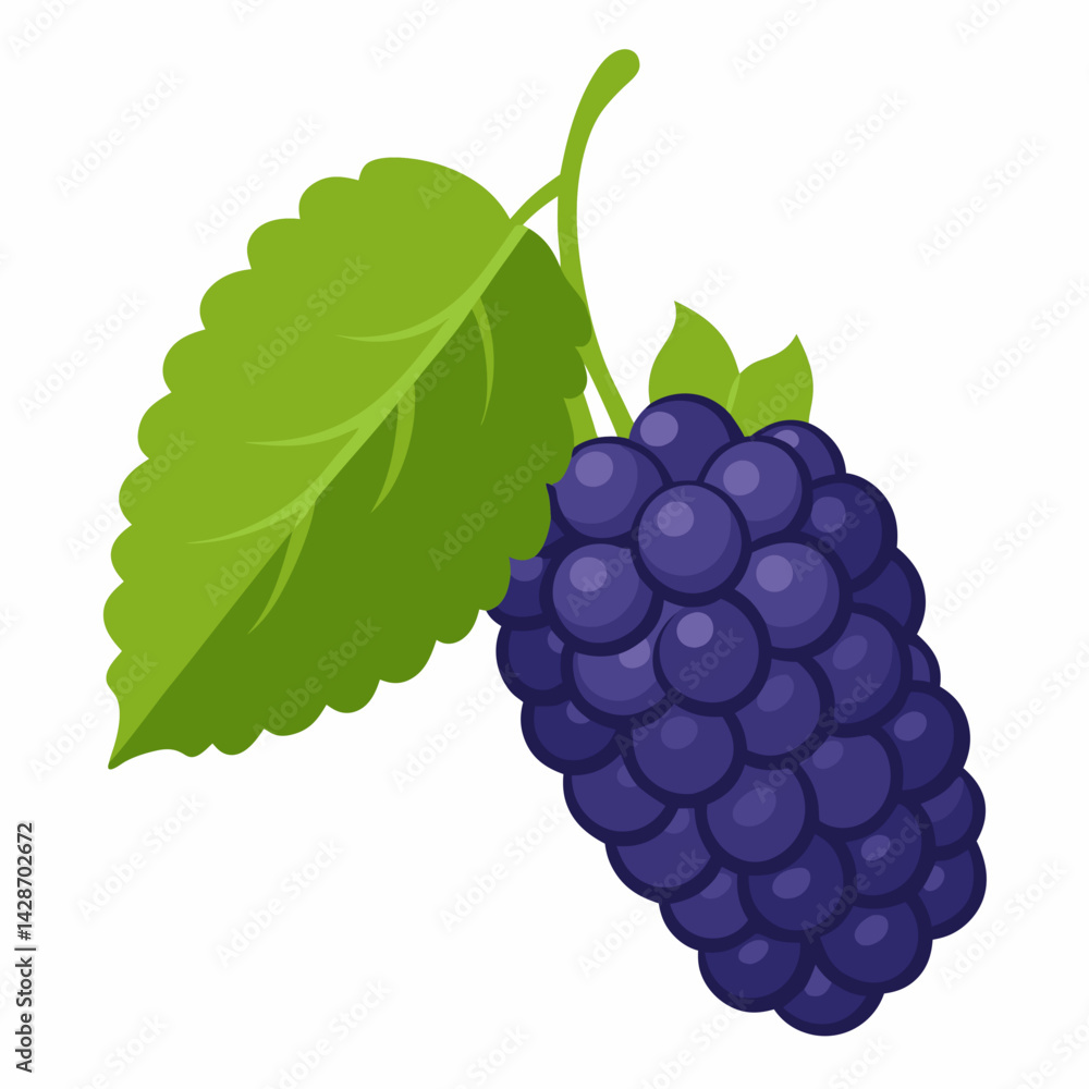 Fototapeta premium bunch of grapes