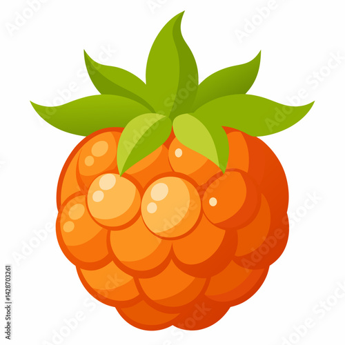 vector illustration of ripe orange fruit