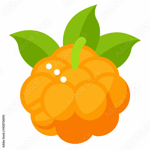 vector illustration of ripe apricots