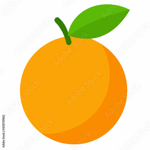 orange fruit vector illustration