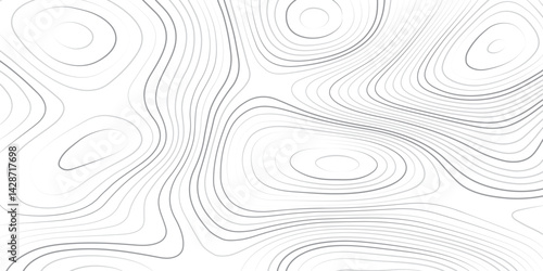 Topographic contours etch a subtle shifting landscape in shades of ethereal gray against a white expanse